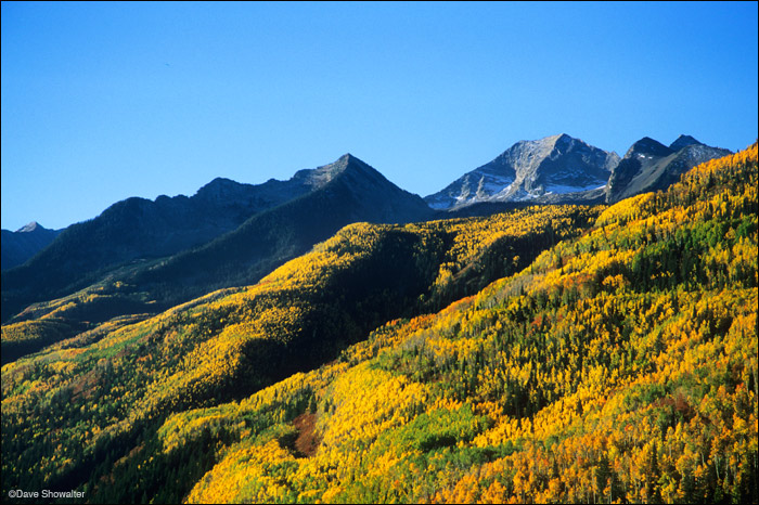 A mountainside of golden aspen trees provide a colorful foreground for this early morning view of Chair Mountain.&nbsp;